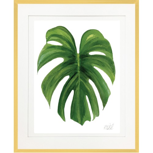 KS- MONSTERA 4